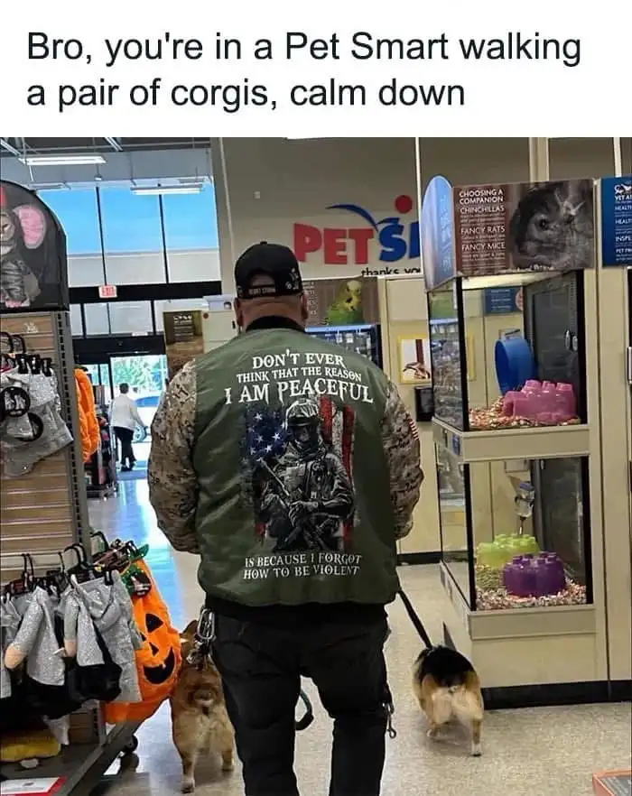 A man walks two corgis on leashes inside a PetSmart store, viewed from behind. He wears a green vest with a graphic of a…