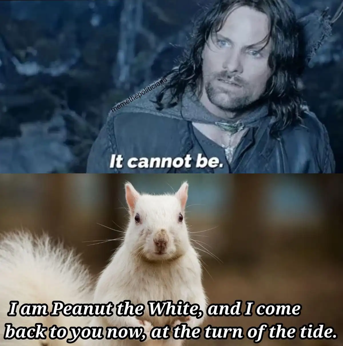 The image is a two-panel meme. The top panel shows a man with long dark hair and a serious expression, overlaid with the…