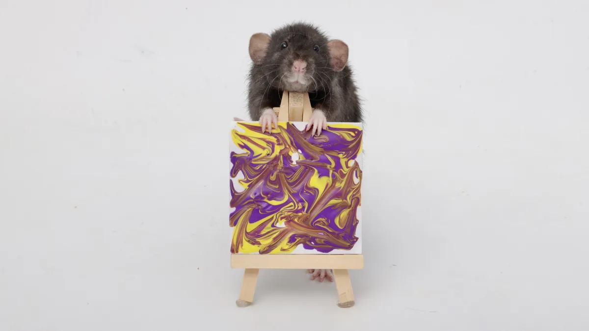 A dark-furred rat stands upright behind a miniature wooden easel, holding a small canvas with swirling purple and yellow…
