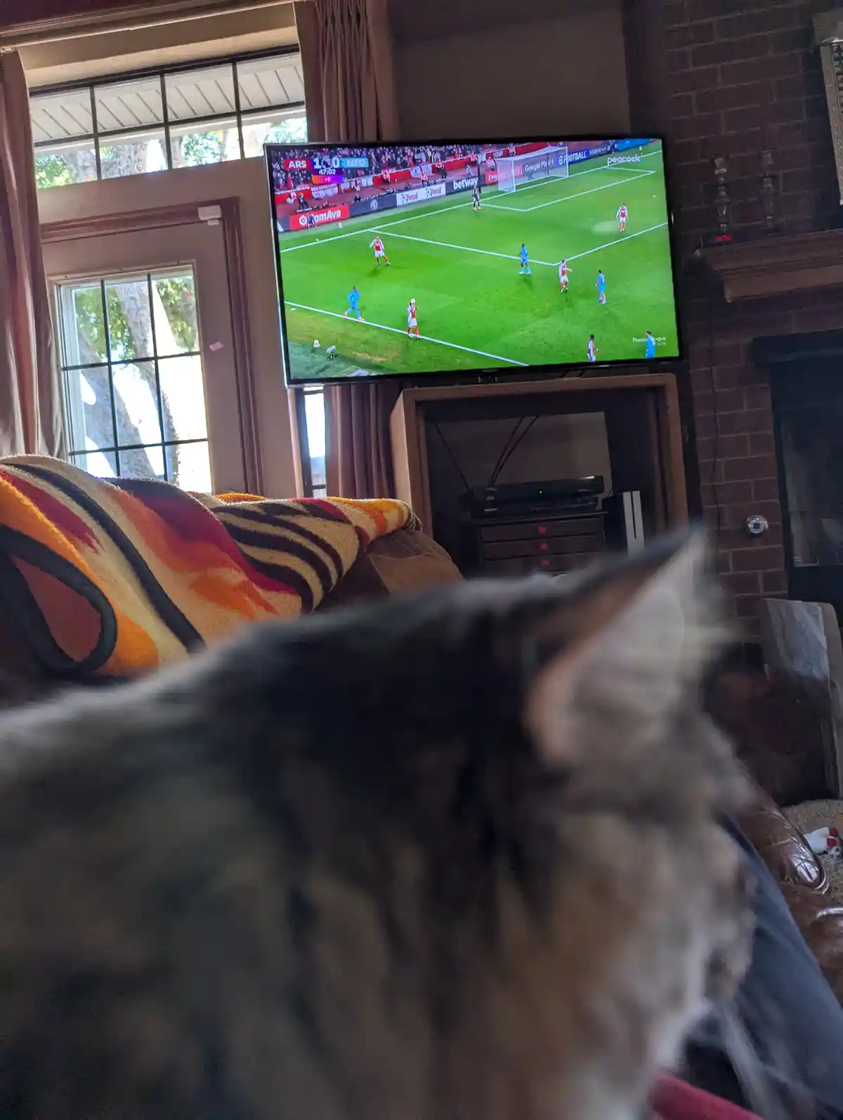 A blurry, close-up shot from behind a fluffy, dark-furred cat sitting on a couch, with a large TV screen in the background…