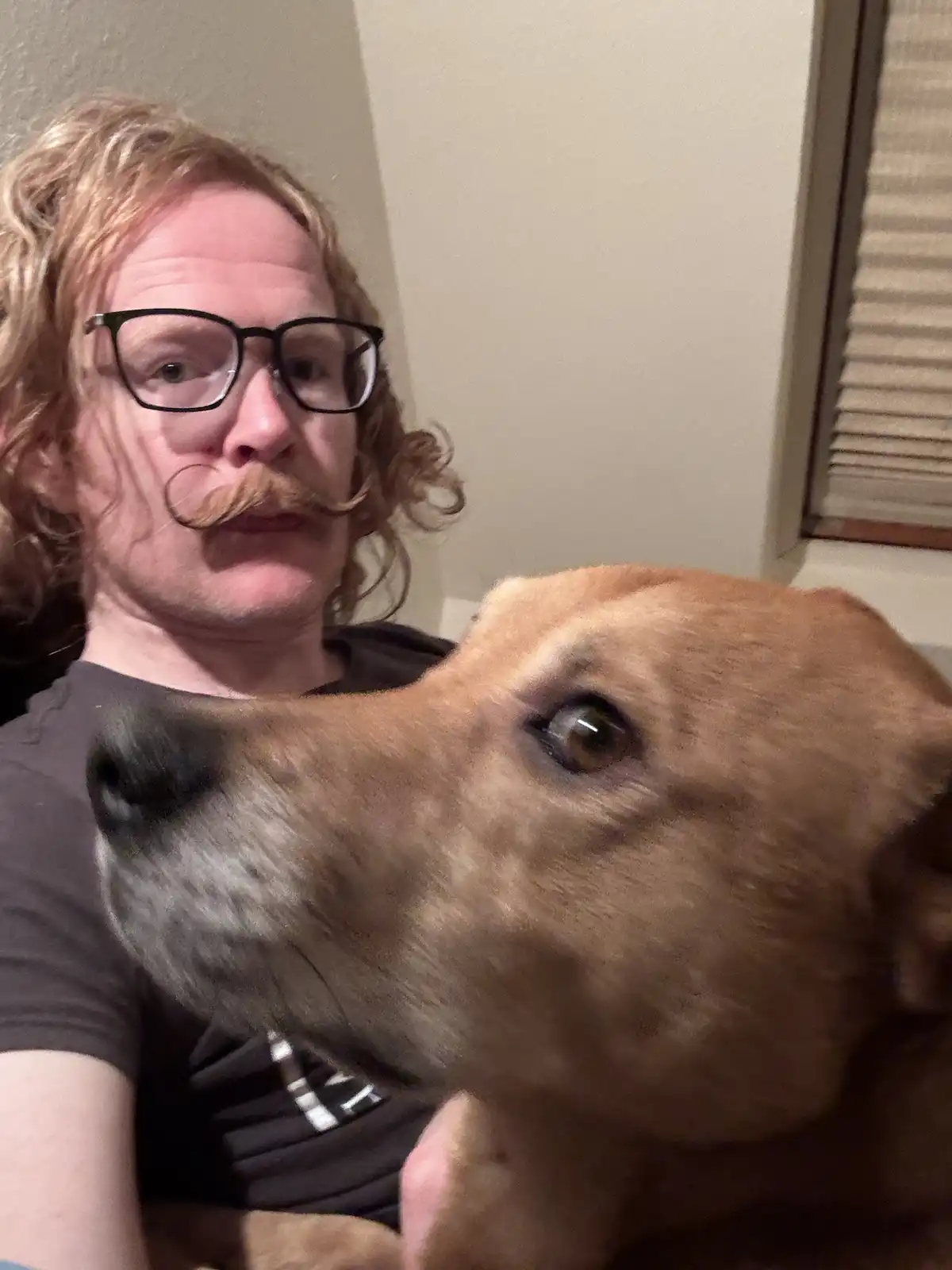 A person with curly red hair, black-rimmed glasses, and a prominent handlebar mustache is holding a brown dog close to the…