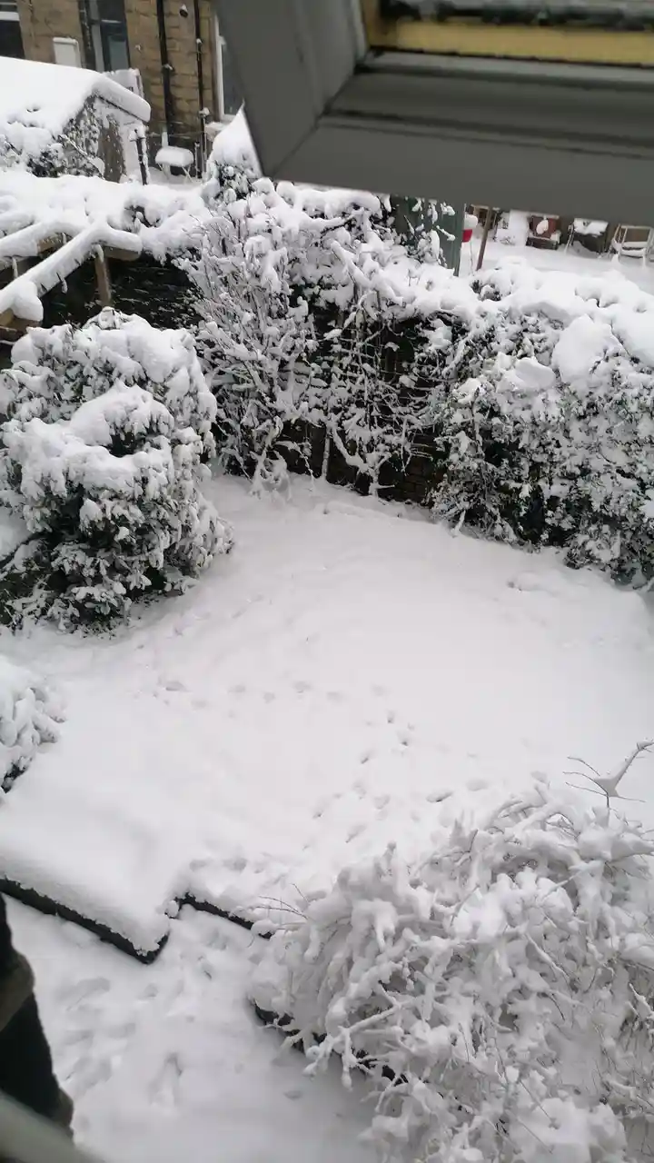 A snowy backyard view from a window, showing snow-covered bushes, a brick wall, and footprints in the fresh snow. The image…
