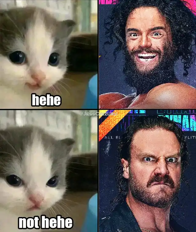 A collection of wrestling memes to entertain you!