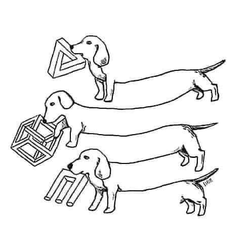 Hey Escher, can you please keep your dog away from here?