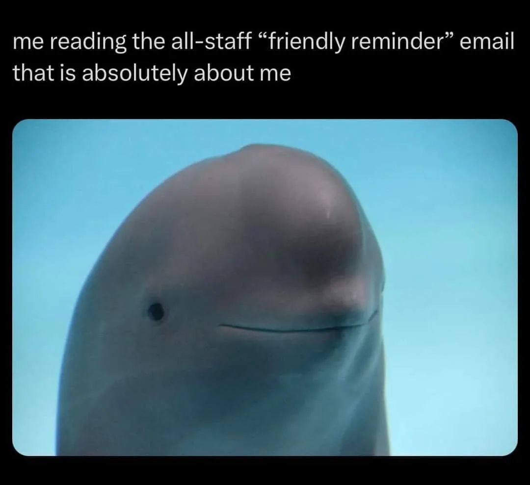 A close-up underwater photo of a beluga whale with a subtle, knowing smile. White text at the top reads: 'me reading the…