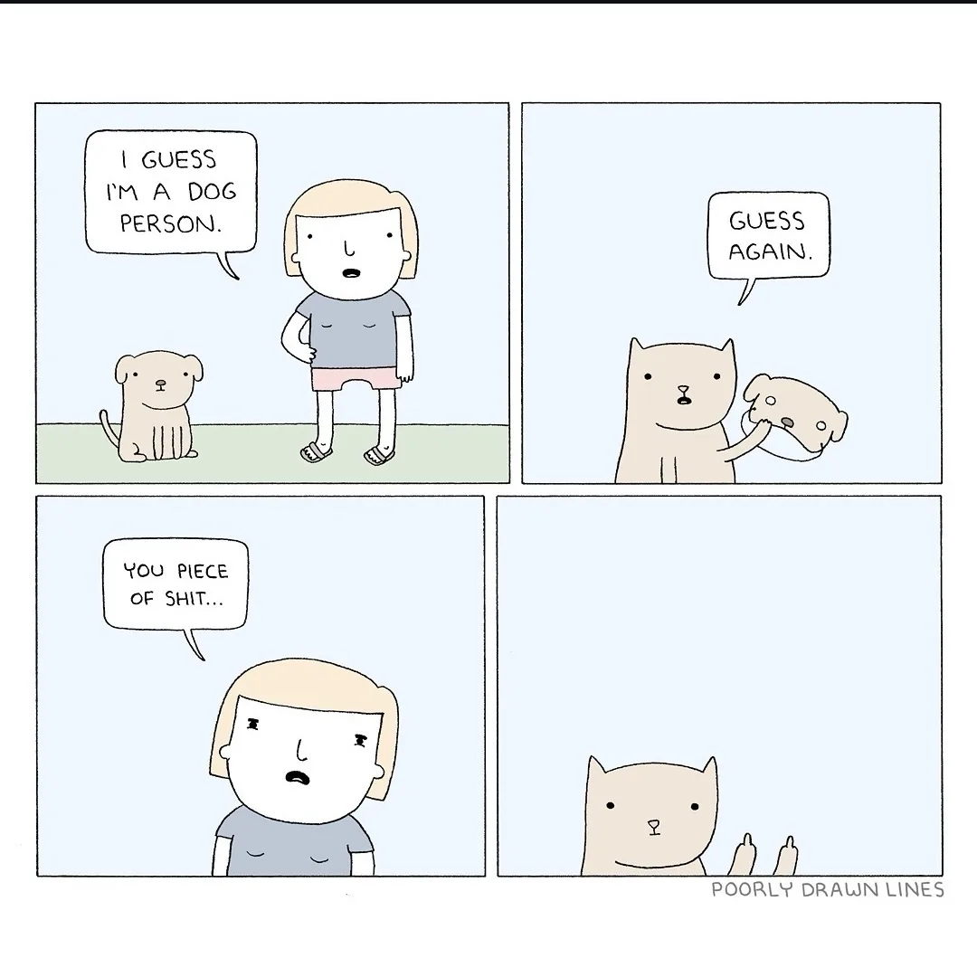A four-panel comic strip shows a person declaring they're a 'dog person' while standing next to a dog. A cat then grabs the…