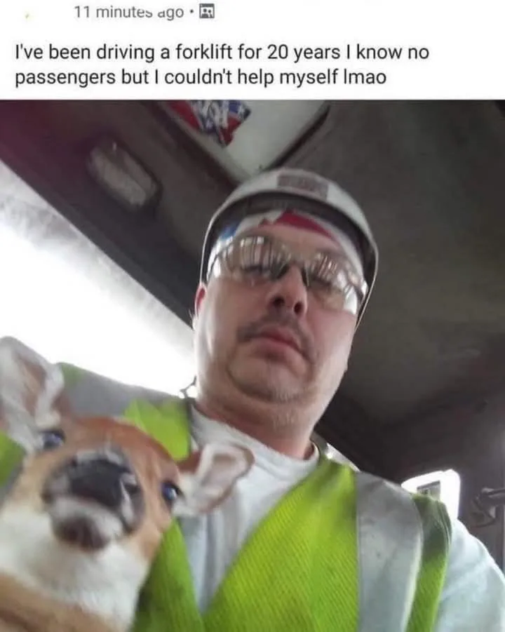 That's a Solid Passenger Buddy Right There!