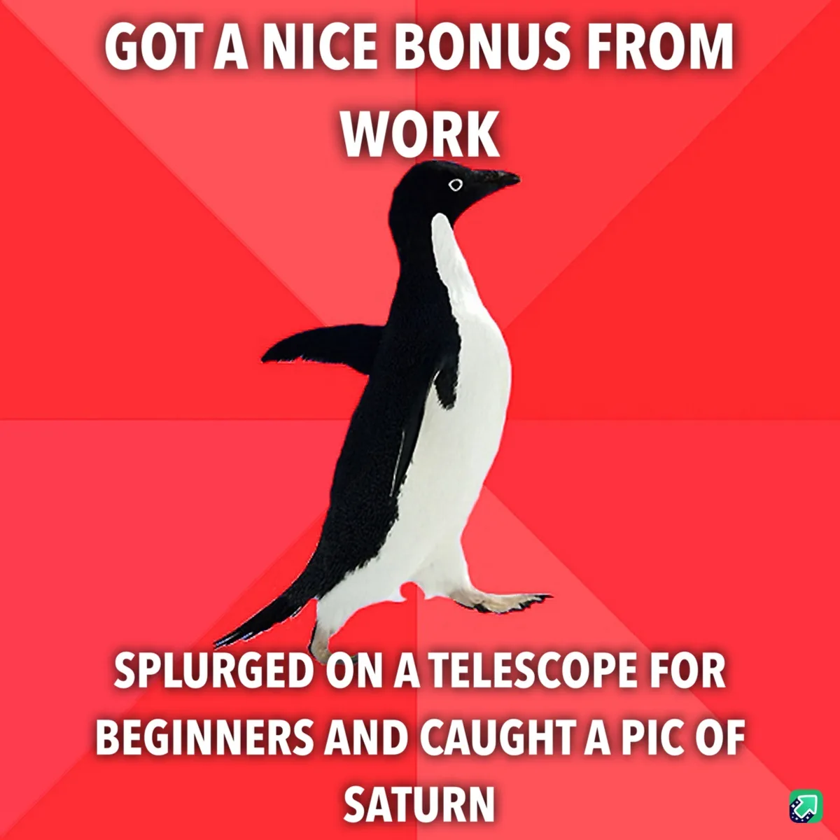 A black-and-white penguin stands against a red background with diagonal stripes. The text at the top reads 'GOT A NICE BONUS…