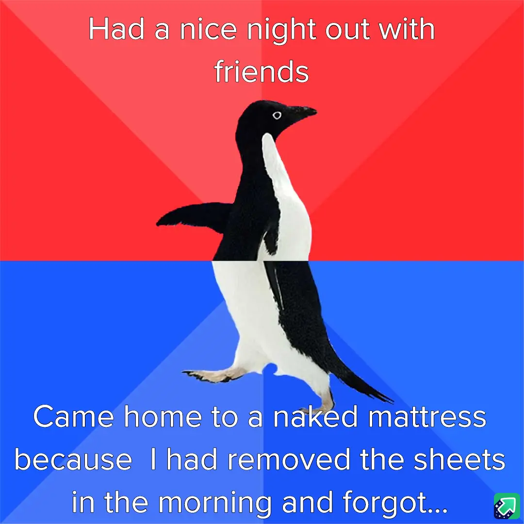 Struggling with Fitted Sheets at 3AM: A Battle for Survival