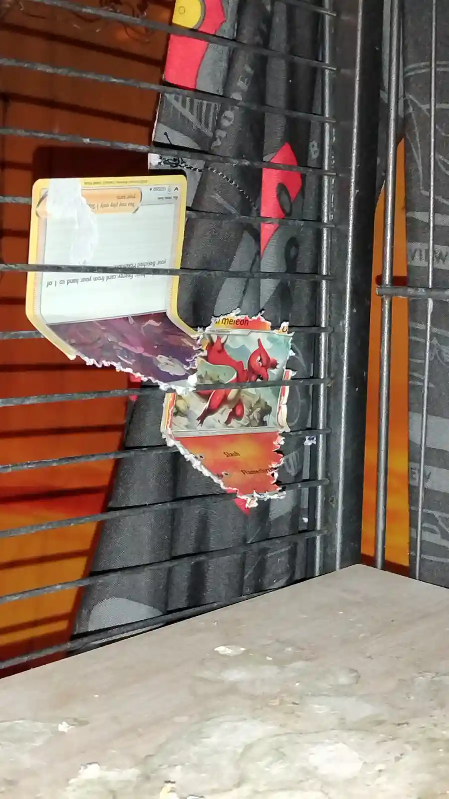 Two torn Pokémon trading cards, one showing a Charizard and the other a partially visible card, are stuck through the bars…