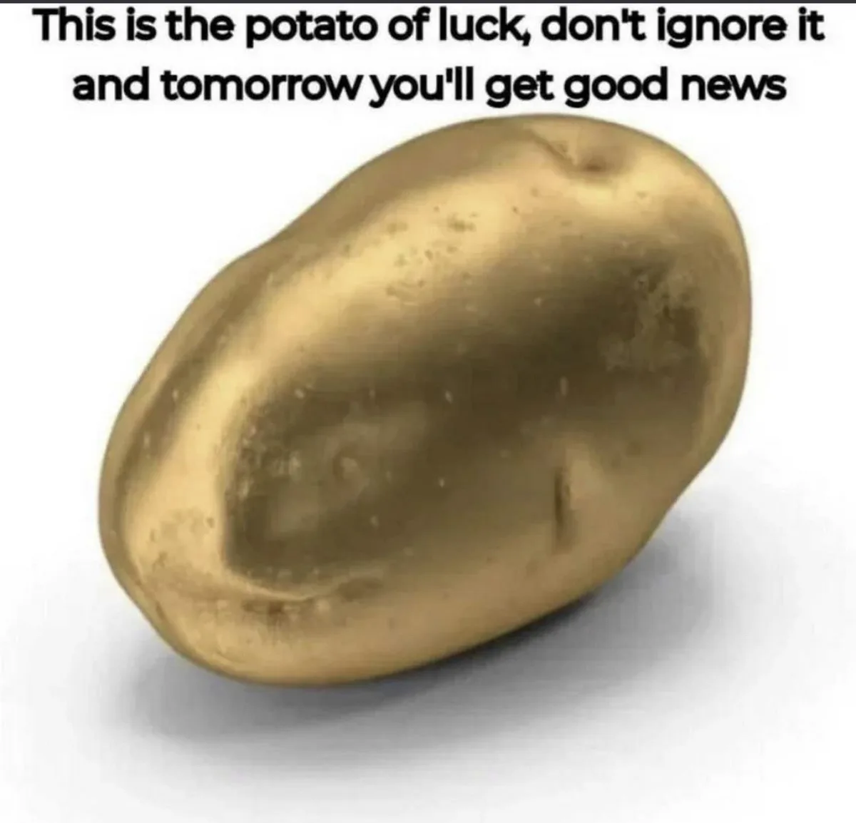 The Lucky Potato Strikes Again