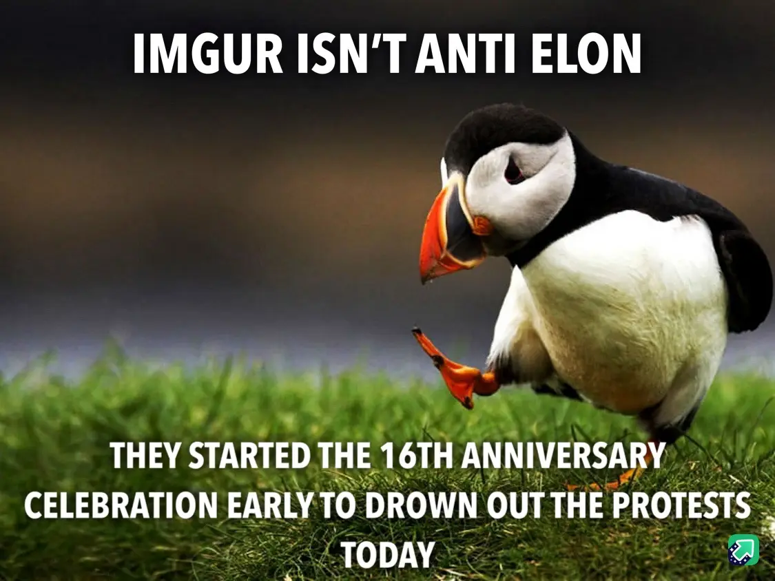 A photograph of a puffin standing on green grass, looking down with one foot lifted, overlaid with bold white text stating…
