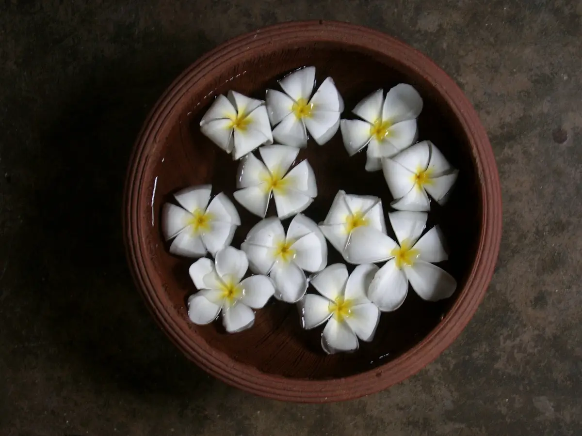 A top-down view of a brown ceramic bowl filled with water, containing numerous white frangipani flowers with yellow centers…