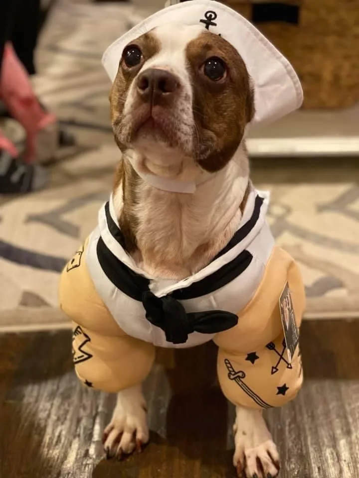 My Boston Transformation into Popeye
