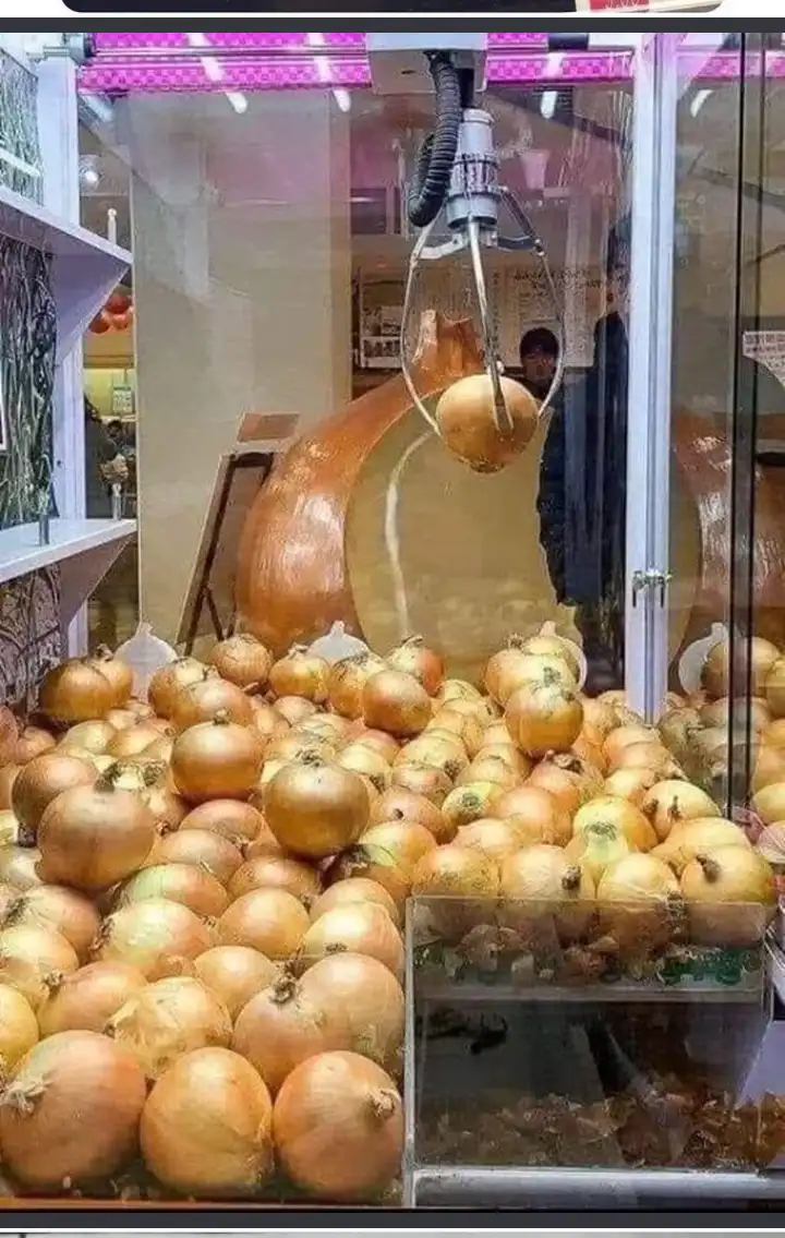 A claw machine filled with onions, where a mechanical claw is holding one onion above a pile. A person is visible in the…