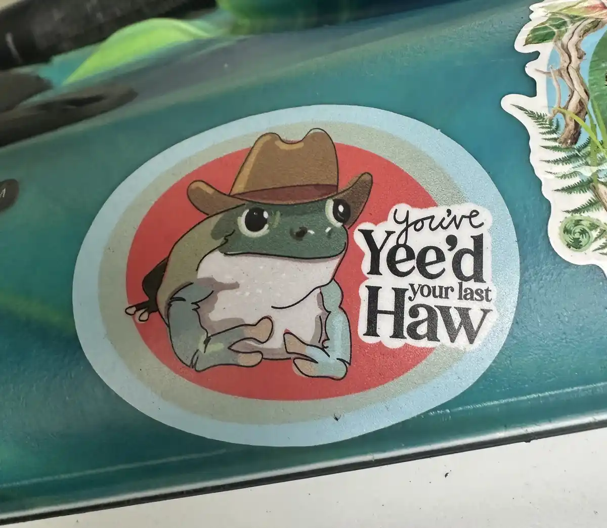 A sticker on a teal surface shows a cartoon frog wearing a cowboy hat, sitting with its arms crossed. The text reads 'You've…