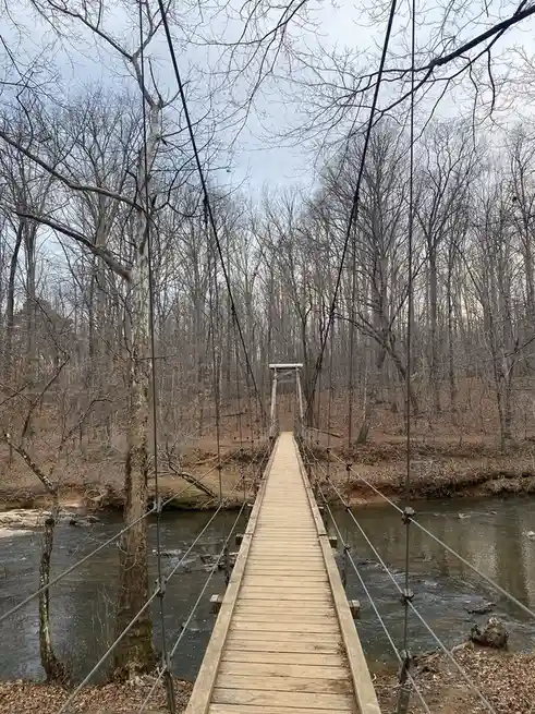 A photo of a wooden suspension bridge crossing a river in a leafless forest, with the overlaid text 'i'm not scared of…