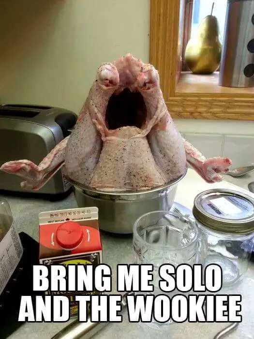 Jabba Jabba Hey: A Galactic Celebration!
