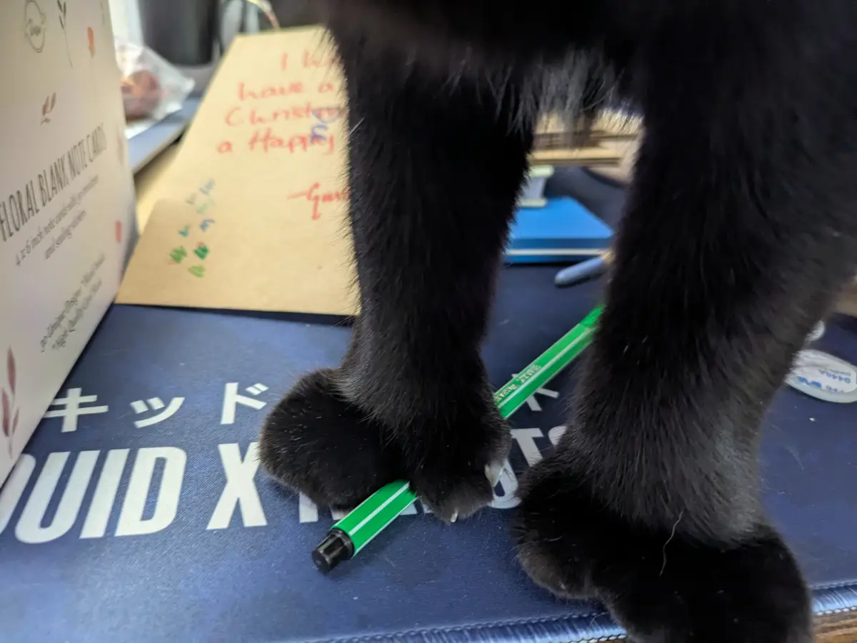 A close-up photo shows a black cat's paws on a blue desk mat, one paw holding a green pen. In the background, a box of…
