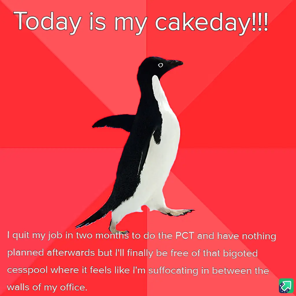 A black-and-white penguin walks against a red background with diagonal stripes. The text at the top reads 'Today is my…