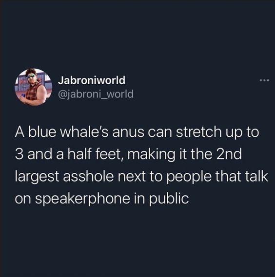A screenshot of a tweet from the account 'Jabroniworld' (@jabroni_world) displays a dark background with white text. The…