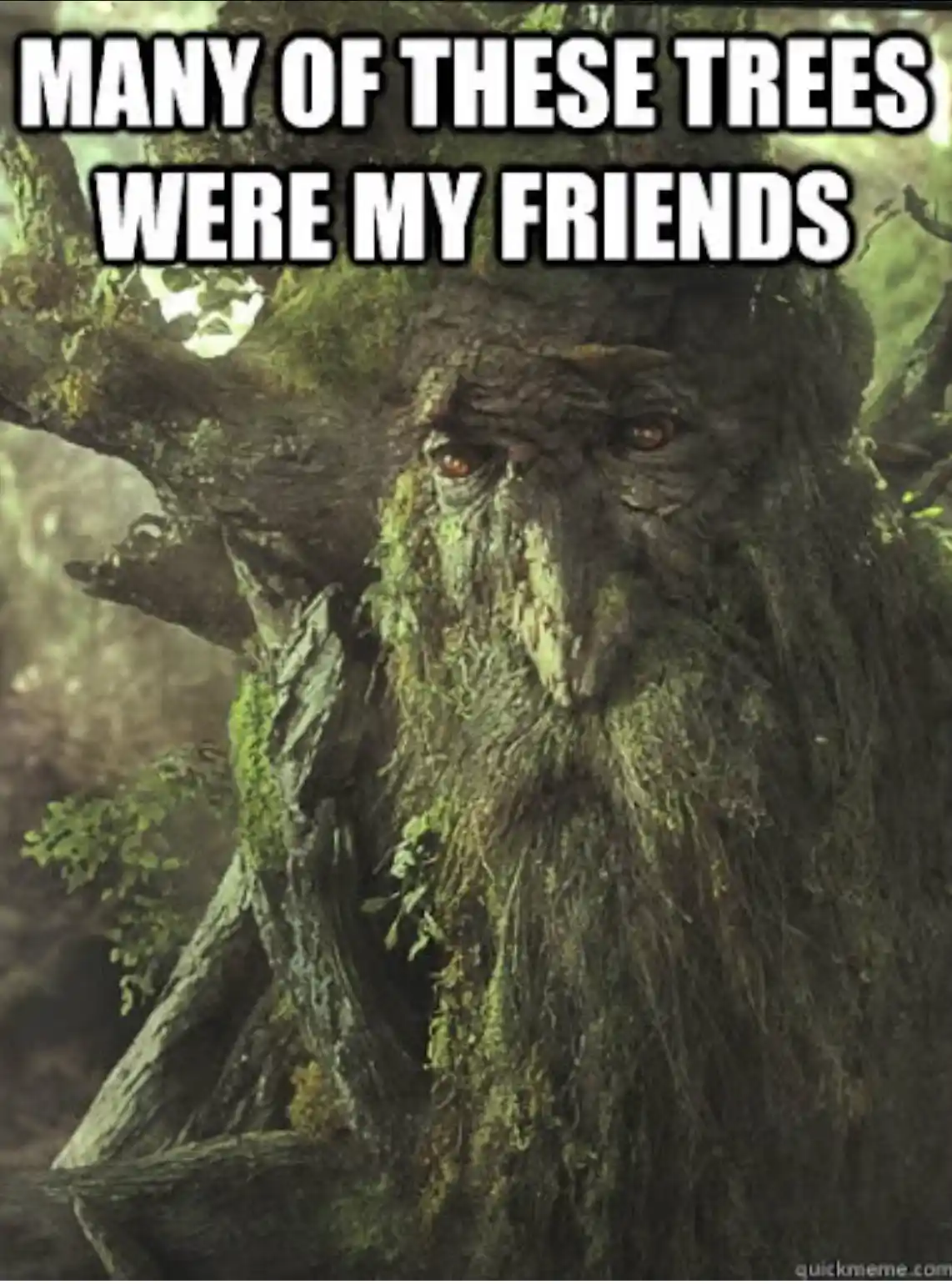 A close-up image of a sentient, moss-covered tree with a human-like face, featuring deep-set eyes and a long beard made of…