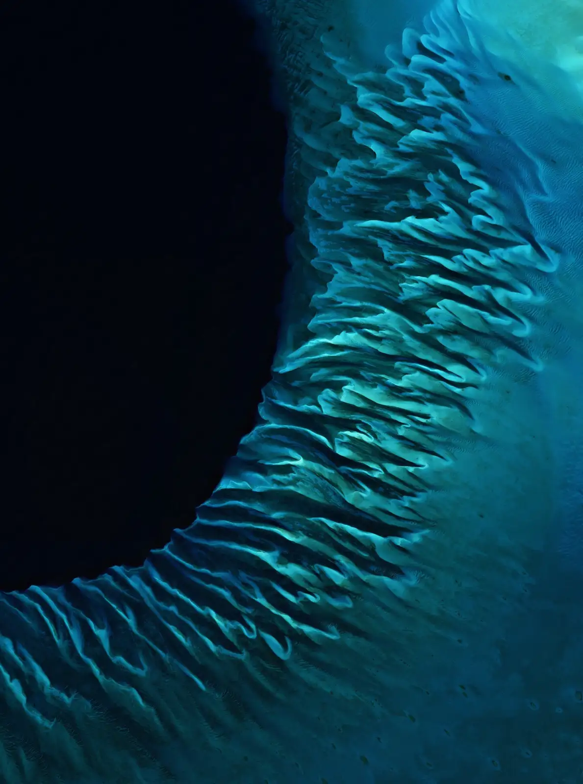 An aerial view shows a stark contrast between deep black water on the left and a textured, rippled blue-green shoreline on…