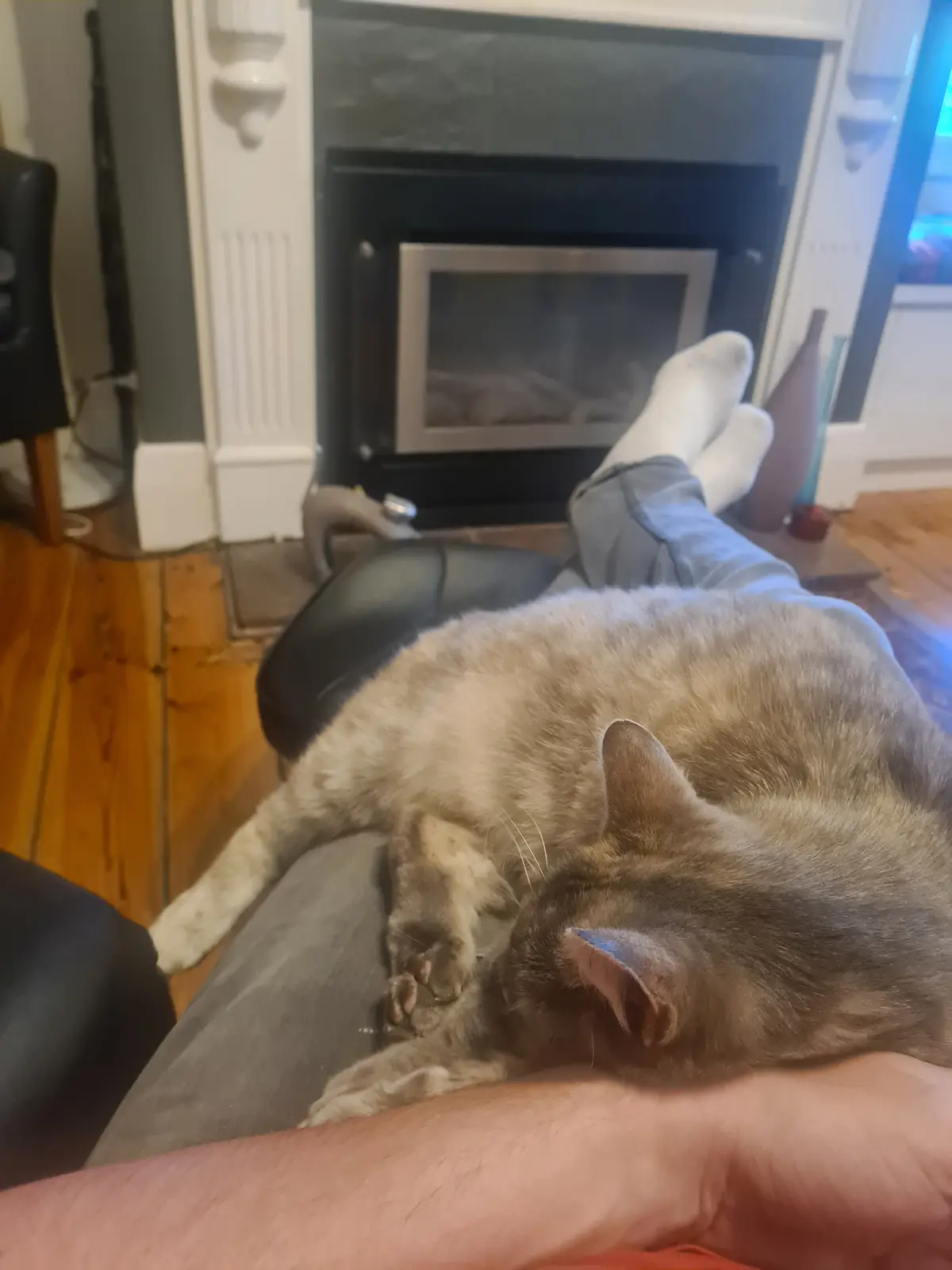 Adorable Sleepy Kitty Moments