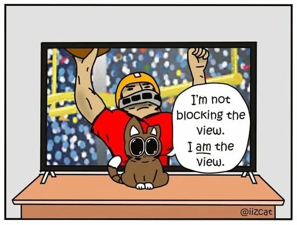 A cartoon cat sits on a TV stand directly in front of a television screen showing a football player celebrating. The cat has…