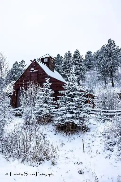 Embracing the Chill of Winter