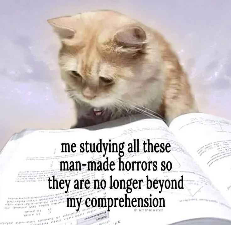 Dive into Memes Volume 461