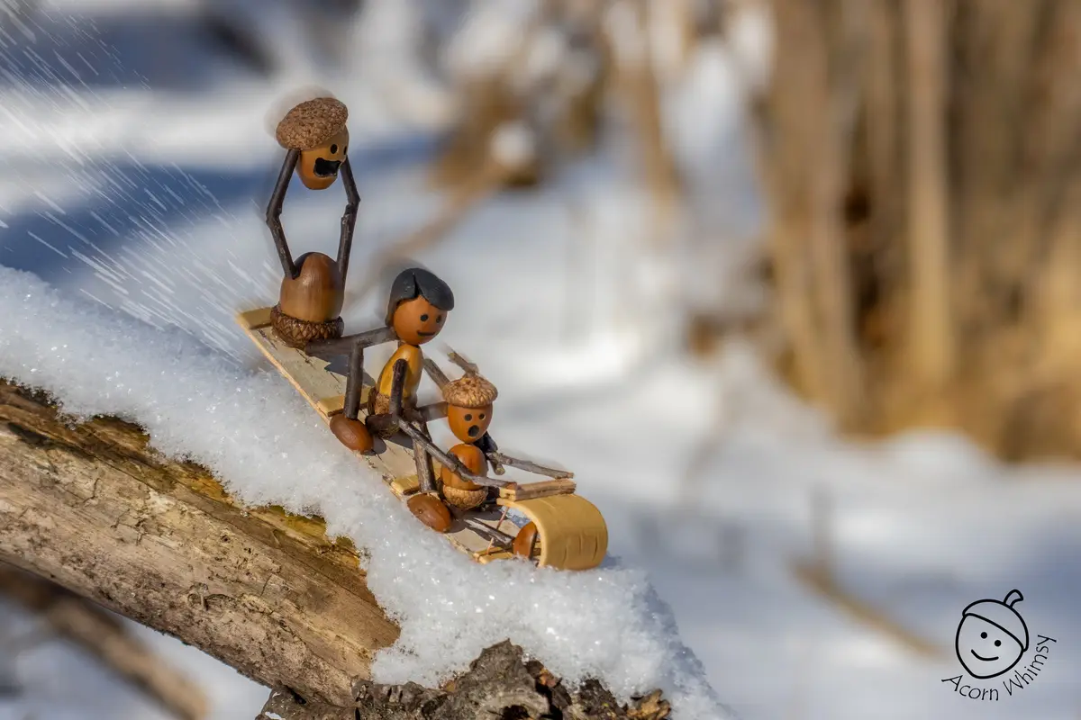 A whimsical winter scene features three acorn figurines on a tiny wooden sled sliding down a snow-covered log. The front…