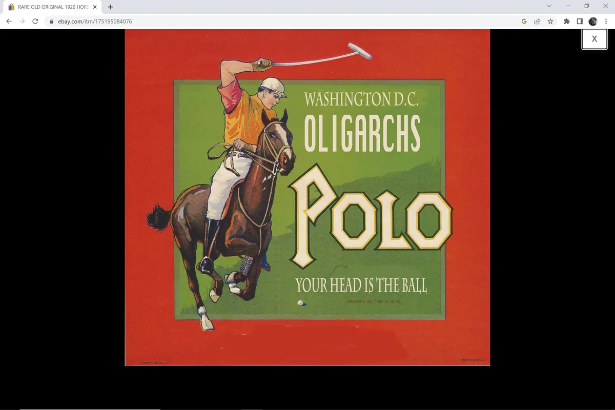 A vintage-style polo advertisement features a man on a horse swinging a mallet, with text reading 'WASHINGTON D.C. OLIGARCHS…