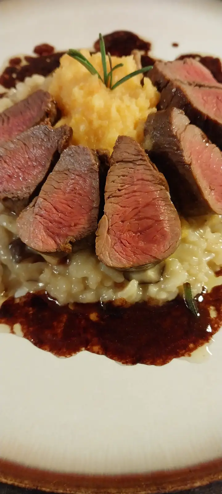 A close-up photo of a plated gourmet meal featuring sliced medium-rare beef, creamy risotto, a mound of yellow mashed…