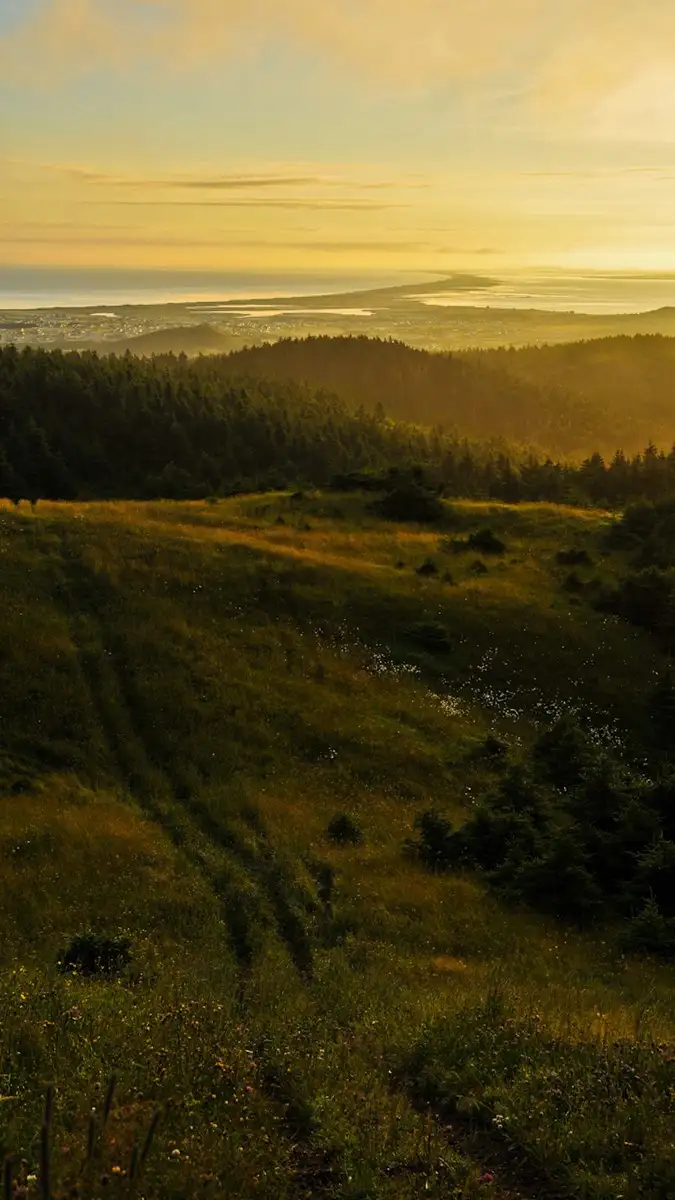 A scenic landscape photo of a grassy hillside with forests and a distant city under a golden sunset sky. Overlaid text in…