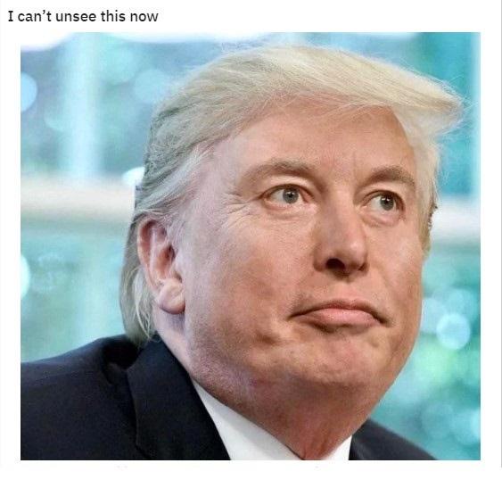 A close-up photo of Donald Trump looking upward and to his right with a slightly confused or dazed expression. He is wearing…
