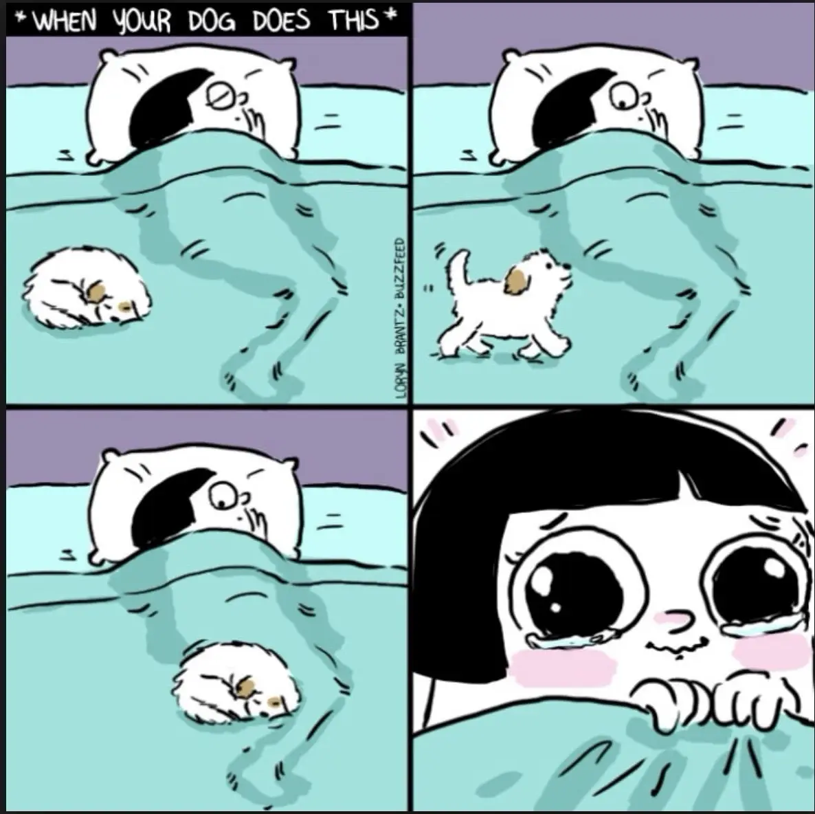 A four-panel comic shows a person sleeping in bed, disturbed by their small white dog that wakes them up, runs around, and…