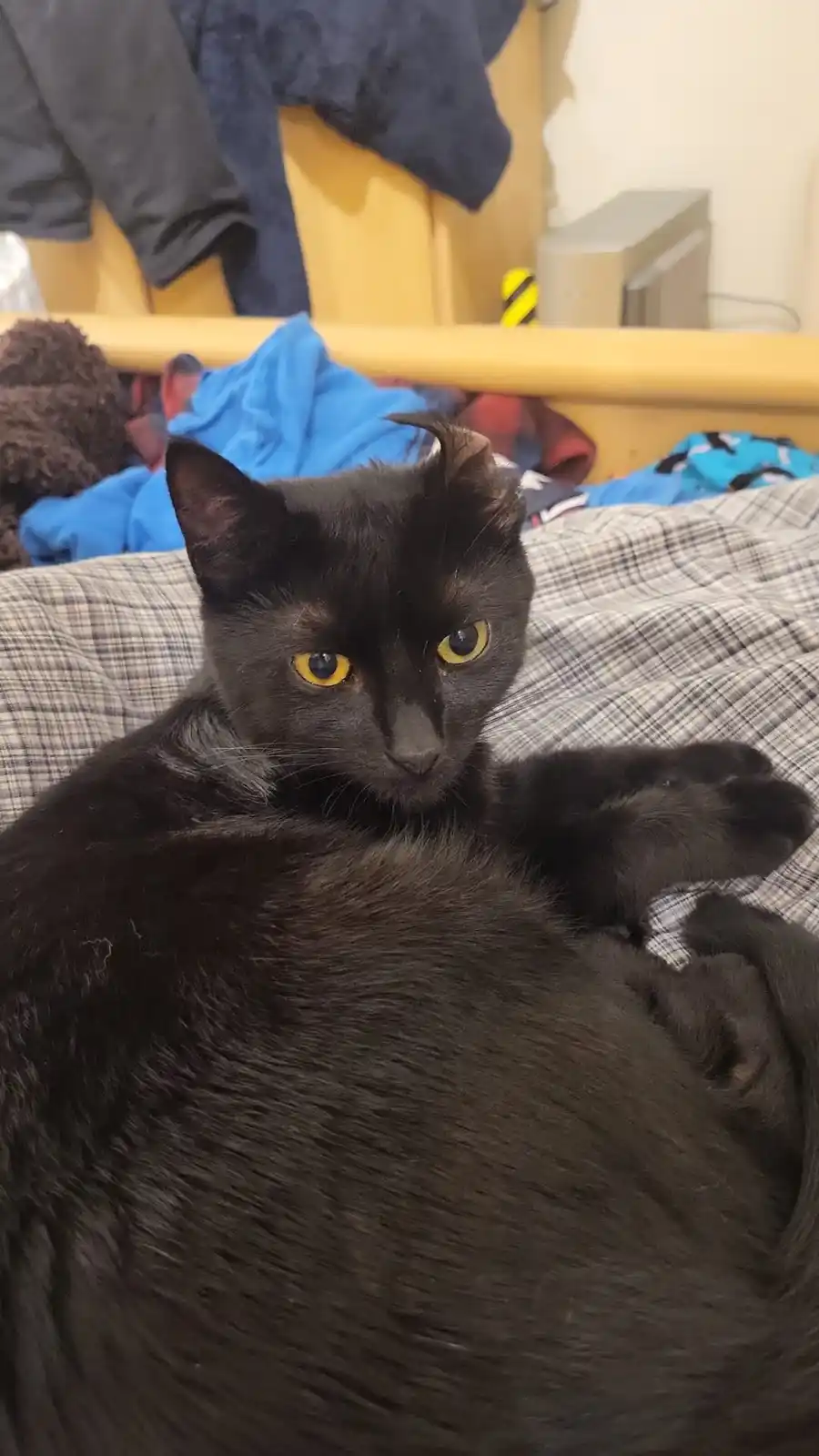 An Unexpected Ear Mishap: What Just Happened?