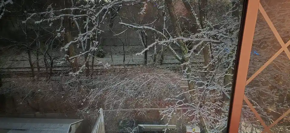 Winter Wonderland: Snowy Scenes in Staten Island