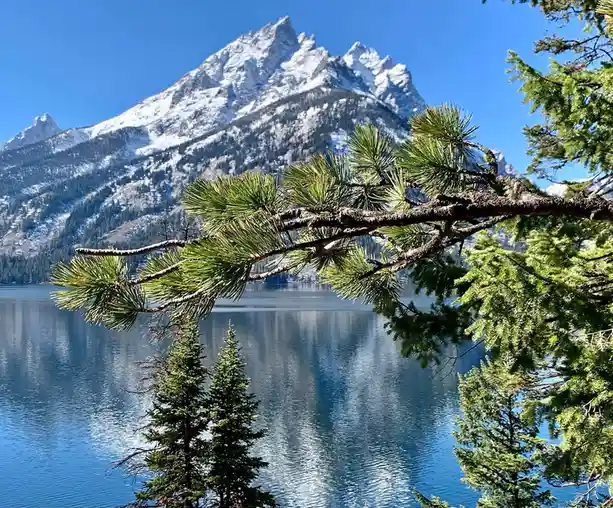 A serene landscape photo shows a snow-capped mountain reflected in a calm blue lake, framed by green pine tree branches in…