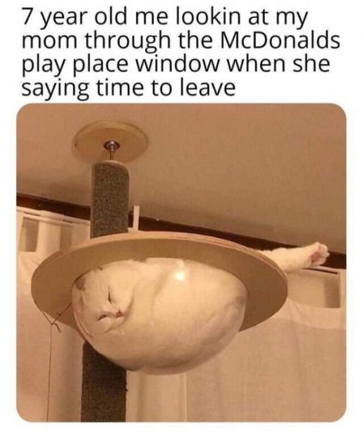 A white cat is curled up and sleeping inside a round, bowl-shaped top of a hanging cat tree, suspended from the ceiling. The…