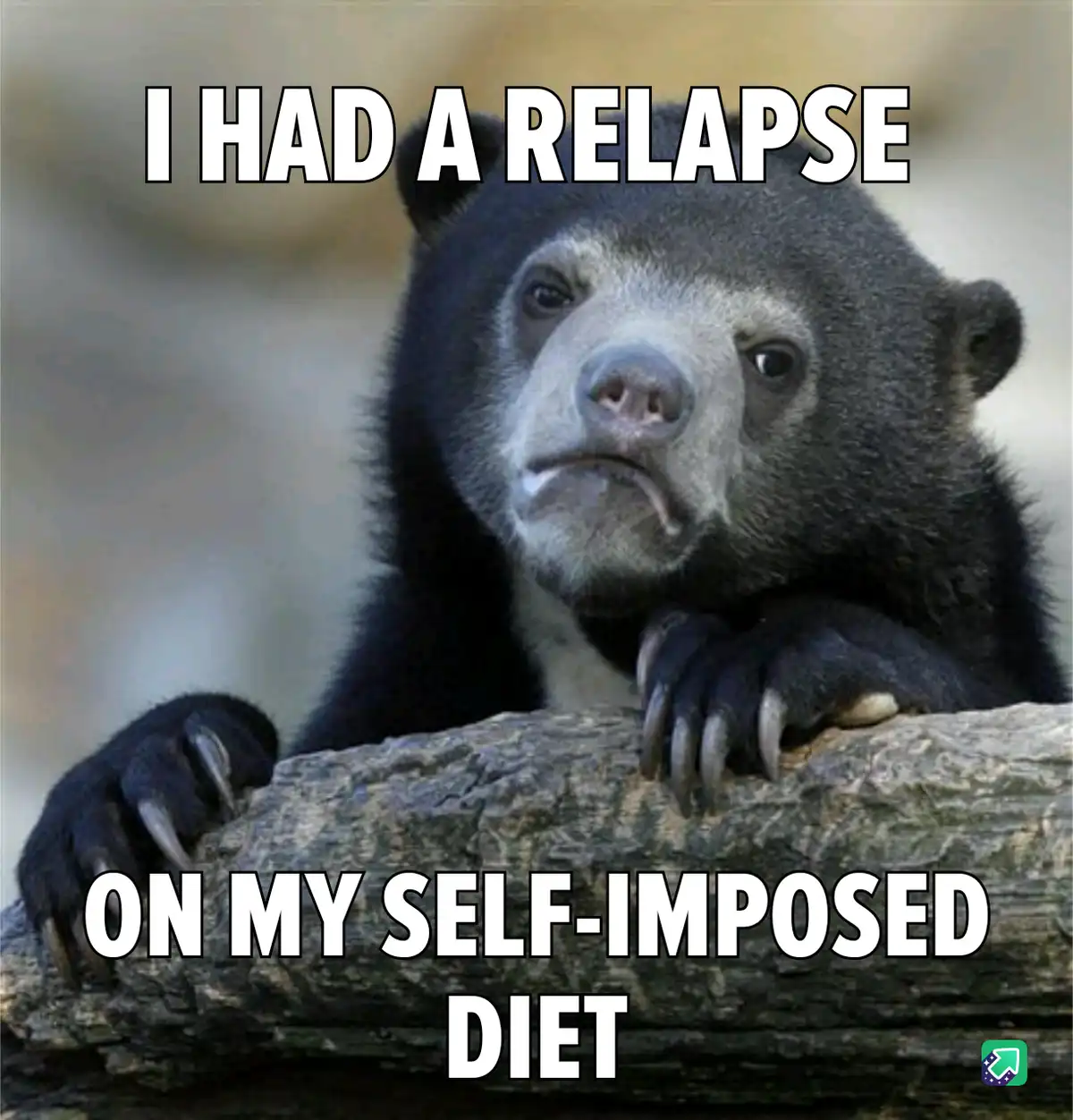 A close-up photo of a sad-looking sun bear with its paws resting on a log, looking dejected. The text overlaid in bold white…