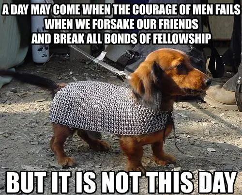A dachshund wearing a chainmail vest stands on dirt ground, looking determined. The overlaid text reads: 'A DAY MAY COME…