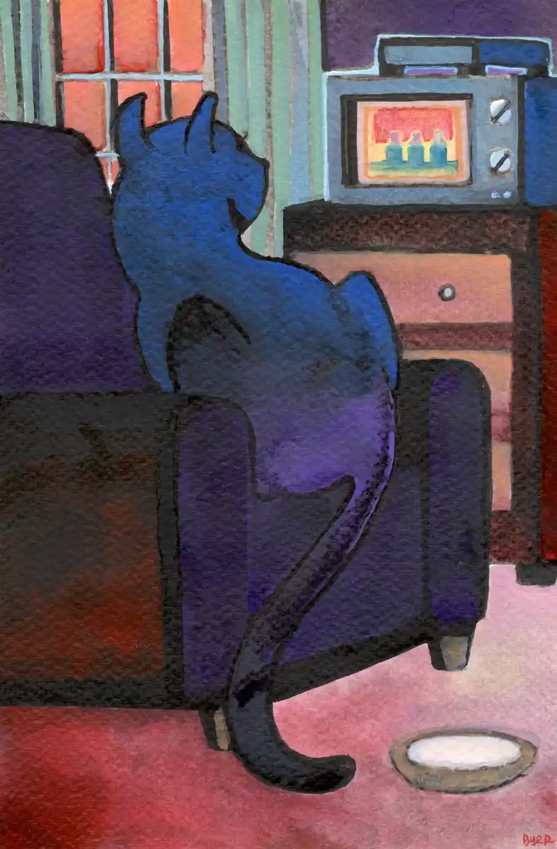 The Cat Who Can't Get Enough of Game Shows