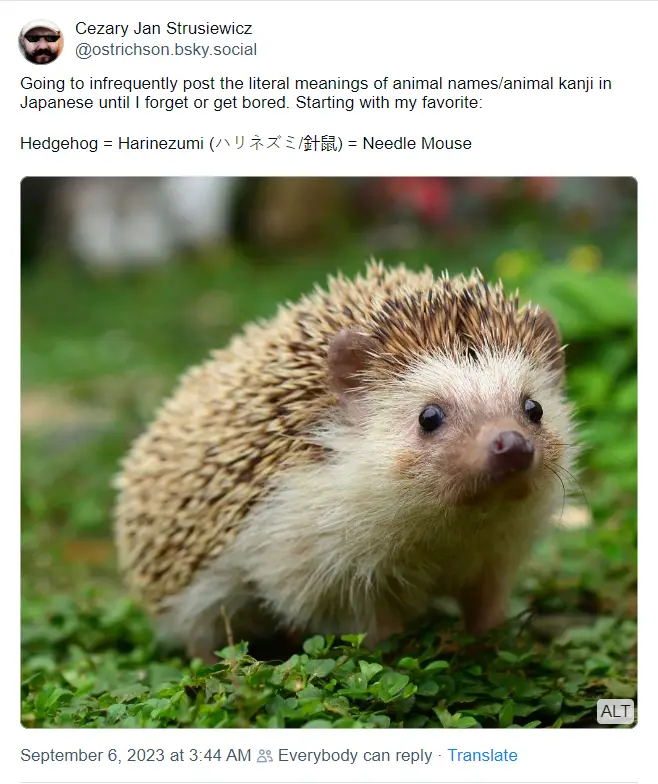 A close-up photo of a hedgehog with spiky brown and white fur, standing on green grass. The overlaid text explains that…