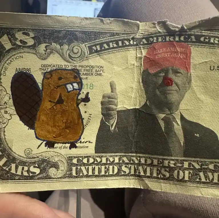 A heavily edited U.S. dollar bill features a cartoon beaver with a large tail and glasses on the left, and a photo of Donald…