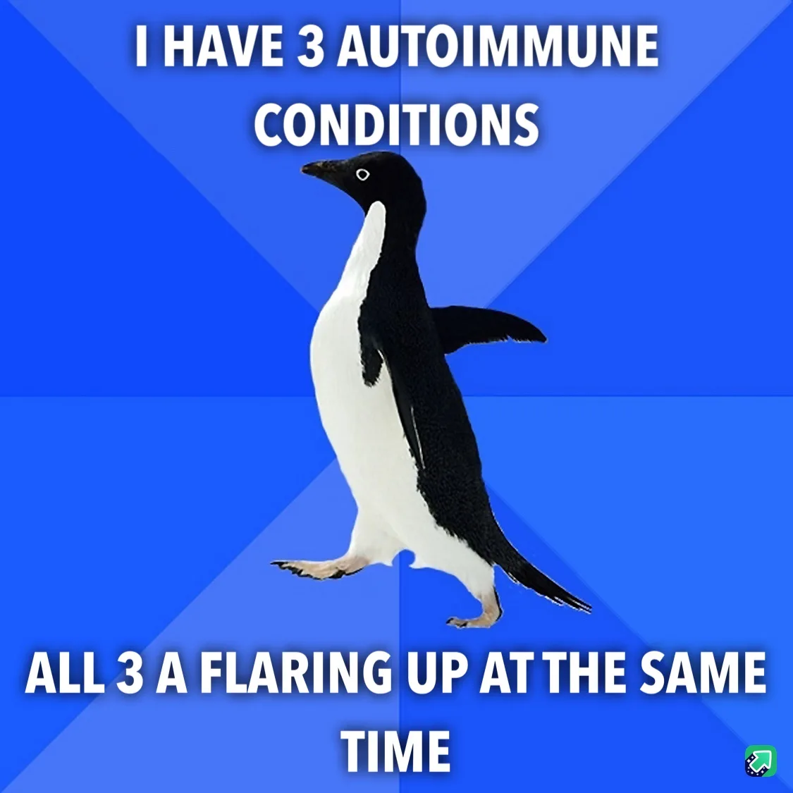 A black-and-white penguin stands against a blue geometric background with white text overlaid. The top text reads 'I HAVE 3…