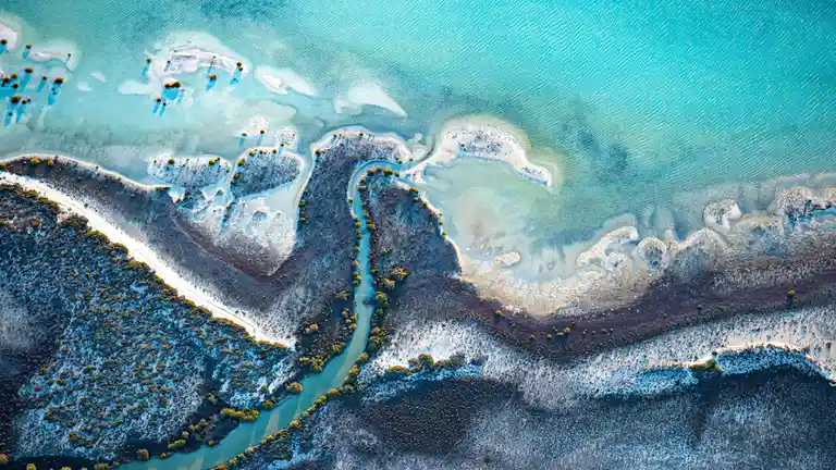 A convoluted coast at Shark Bay in Western Australia showcases the intricate nature of coastlines. Two main basins are…
