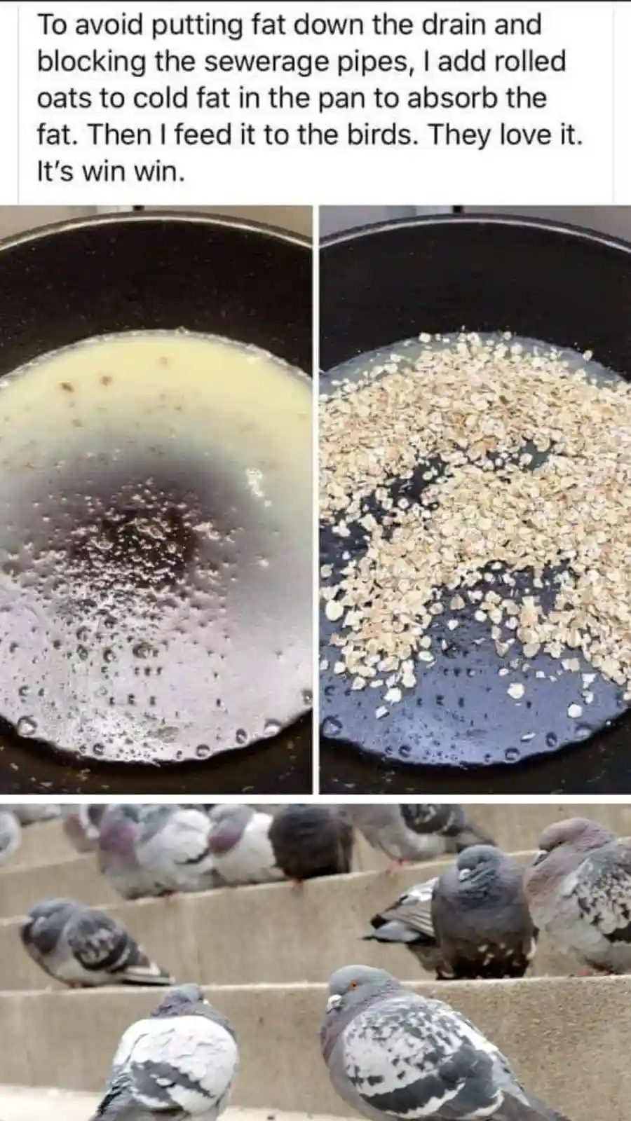 The image is a three-panel meme. The top left panel shows a black frying pan with melted fat and bubbles. The top right…