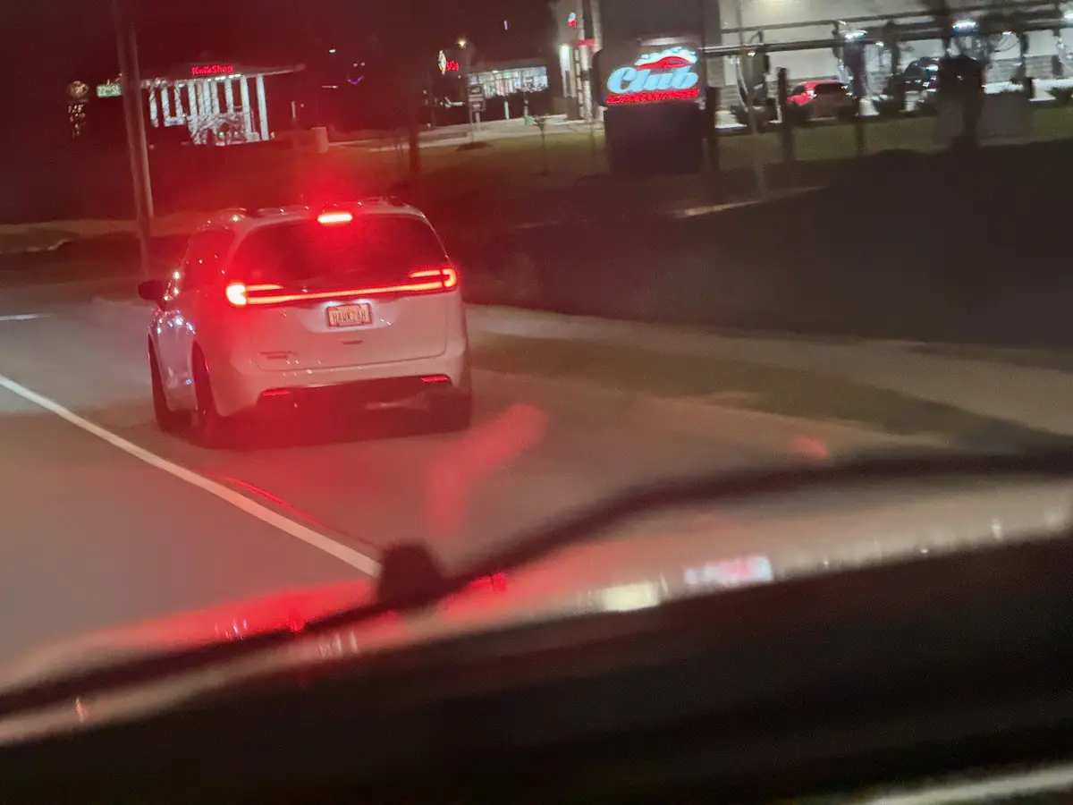 Spotted in the wild: You won't believe your eyes!